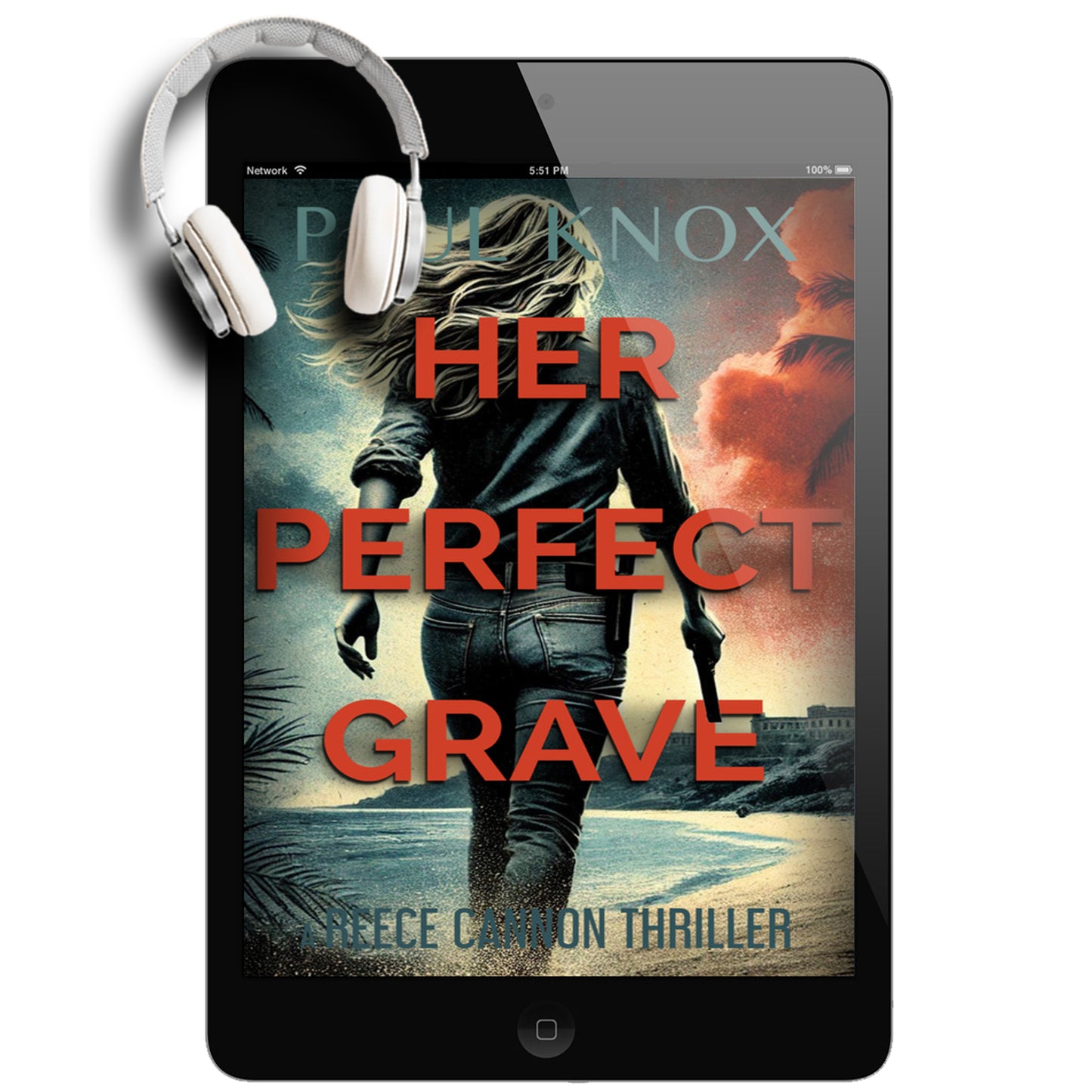 Her Perfect Grave: A Reece Cannon Thriller, Book 6