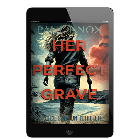 Her Perfect Grave: A Reece Cannon Thriller, Book 6